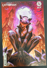 Load image into Gallery viewer, ABSOLUTE CATWOMAN #1 1:25 RATIO
