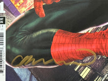 Load image into Gallery viewer, The Amazing Spider-Man (Giant Size) #1 Lee Bermejo variant cover signed by Lee Bermejo
