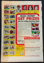 Load image into Gallery viewer, Walt Disney's Comics &amp; Stories #391 (1973)
