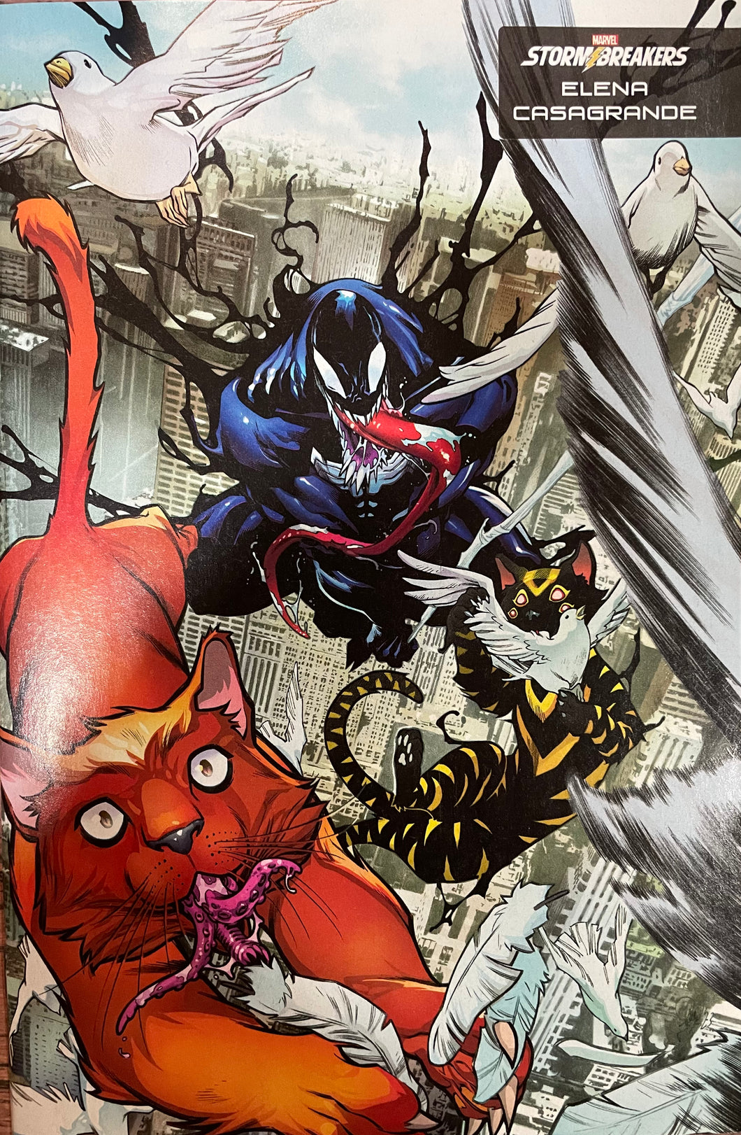 Venom #24 (Variant cover by Elena Casagrande)