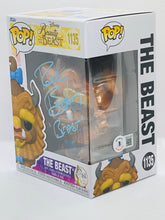 Load image into Gallery viewer, The Beast 1135 Beauty &amp; the Beast Funko Pop signed by Robbie Benson
