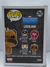Load image into Gallery viewer, Lockjaw Flocked Fall Convention 2017 Exclusive Funko Pop
