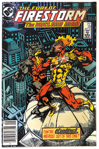 Firestorm #39 (1985)